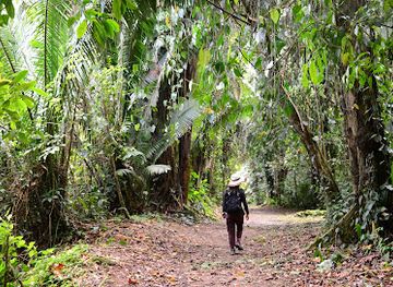 belize/cockscomb-basin-wildlife-sanctuary/landmark/cockscomb-basin-nature-reserve
