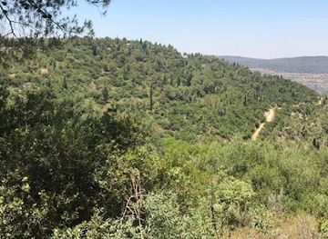 israel/southern-district/landmark/har-yehuda