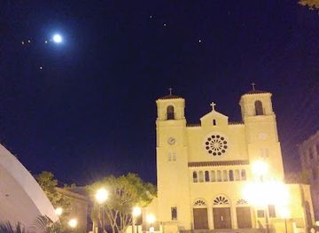 puerto-rico/caguas-region/landmark/arbol-de-la-libertad