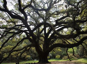 florida/tallahassee-area/landmark/lichgate-on-high-road