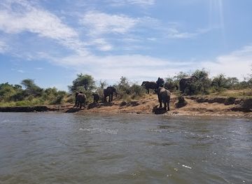 zimbabwe/mashonaland-west/landmark/mana-pools-national-park