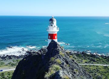 new-zealand/bay-of-plenty/landmark/cape-palliser-lighthouse
