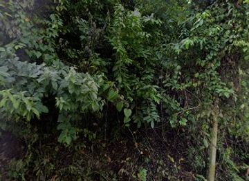 philippines/cebu-city/lahug/landmark/cave-used-by-japanese-soldiers-in-ww