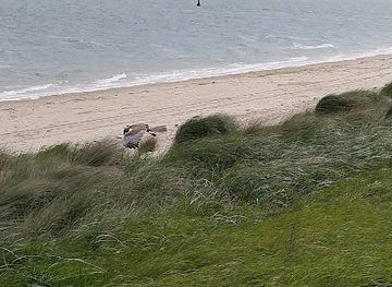 netherlands/ijsselmeer-polders/landmark/polder-wassenaar-stichting-zilte-zones