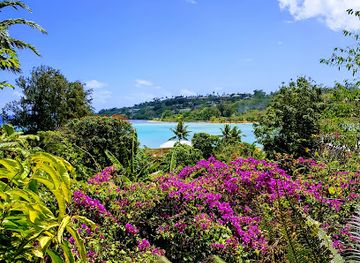 vanuatu/shefa-province/landmark/tana-russet-plaza