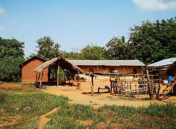 ghana/northern-region/landmark/boabeng-fiema-monkey-sanctuary