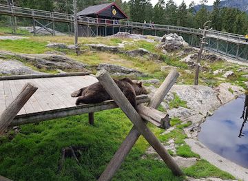 norway/buskerud/landmark/bear-park