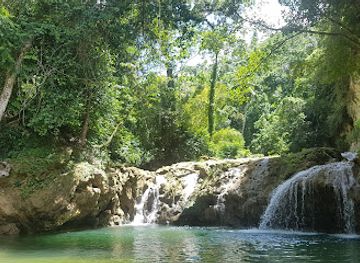 dominican-republic/samana/landmark/samana-zipline-el-valle