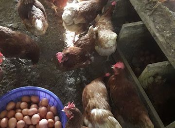 guatemala/verapaces/landmark/aldea-poza-del-danto