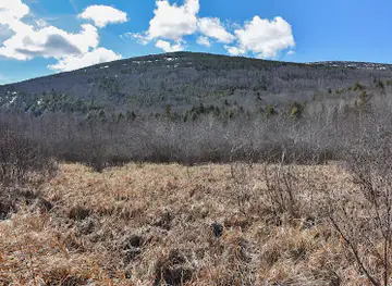 Jesup Path and Hemlock Path Loop
