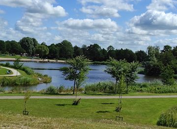 netherlands/wadden-islands/landmark/frog-eyes