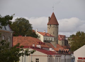 estonia/tallinn-old-town/landmark/stolting-tower