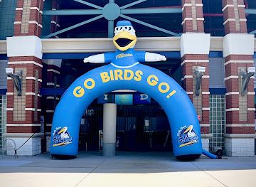 south-carolina/myrtle-beach/landmark/myrtle-beach-pelicans