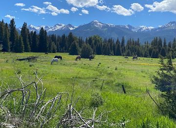 oregon/wallowa-mountains/landmark/joseph-branch-railriders