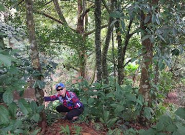 indonesia/west-kalimantan/landmark/bukit-reel