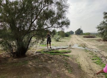 kuwait/sabah-al-salem/landmark/park-ali-sabah-al-salem