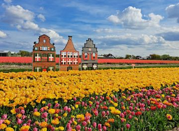 netherlands/bollenstreek/landmark/tulip-experience-amsterdam