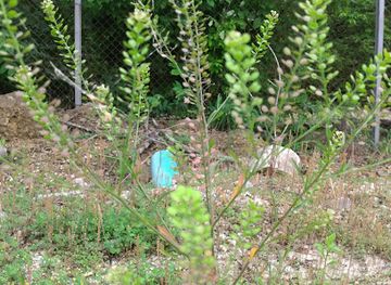 missouri/rolla/landmark/missouri-university-of-science-and-technology-s-experimental-mine