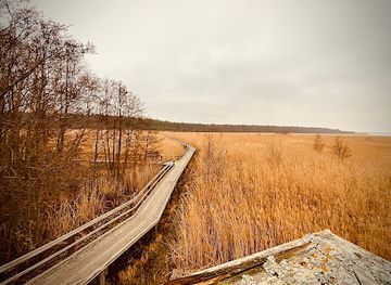 finland/satakunta/landmark/yyteri-nature-trail-lietteiden-reitti