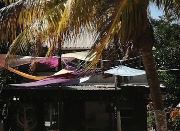 belize/hopkins/landmark/fred-s-lime-tree