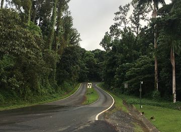 puerto-rico/yunque-national-forest/landmark/el-yunque-national-forest-supervisor-s-office