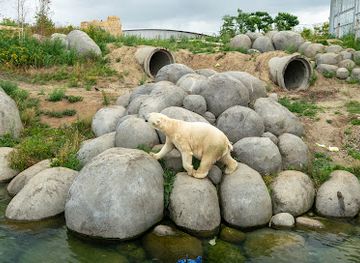 netherlands/drenthe/landmark/nortica