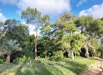 uruguay/lavalleja/landmark/arboretum-lussich
