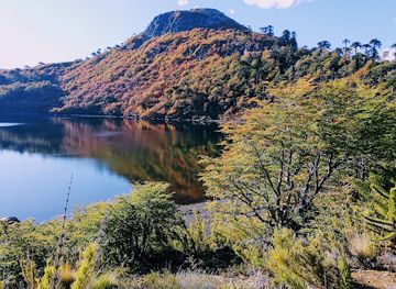chile/biobio-region/landmark/reserva-nacional-ralco