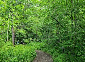 pennsylvania/lower-susquehanna-valley/landmark/aaronic-priesthood-restoration-grove-church-history-site