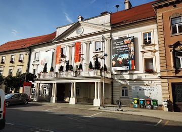 slovenia/celje/landmark/muzej-novejse-zgodovine-celje