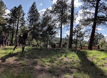 arizona/coconino-national-forest/landmark/pioneer-museum-arizona-historical-society