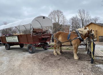 illinois/central-illinois/landmark/wagon-depot