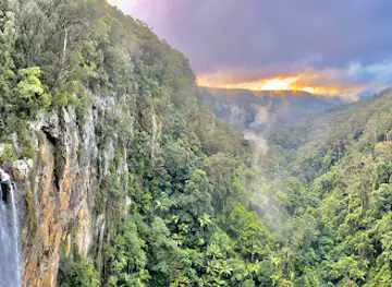 Purling Brook Falls, Springbrook National Park