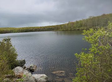 new-jersey/appalachian-trail/landmark/worthington-state-forest