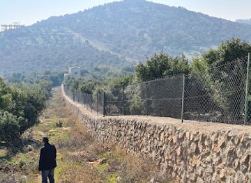 jordan/jerash/landmark/dibbeen-forest-reserve