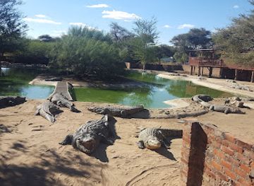 namibia/otjiwarongo/landmark/crocodile-farm-otjiwarongo