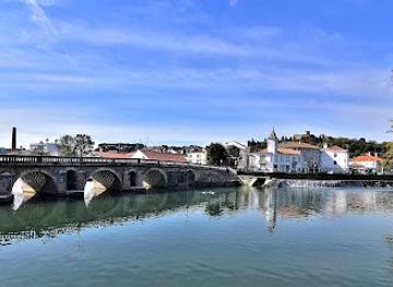 portugal/viseu/landmark/ponte-velha