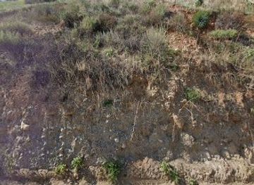 california/inland-empire/landmark/historic-shack