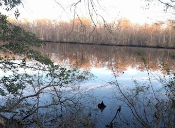 maryland/pocomoke-river-state-park/landmark/pocomoke-state-forest