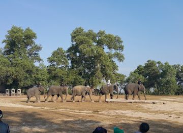 myanmar-burma/dry-zone/landmark/wingabaw-elephant-camp