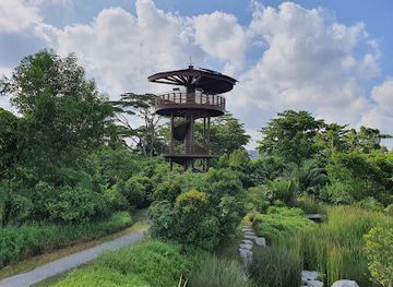 singapore/sungei-buloh-wetland-reserve/landmark/raptor-tower