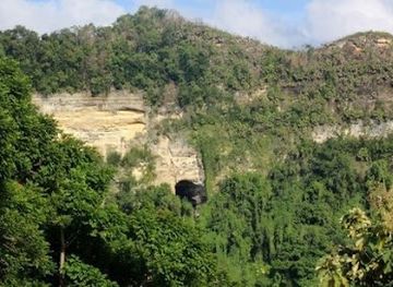 puerto-rico/el-yunque-national-forest/landmark/cueva-de-los-quinteros