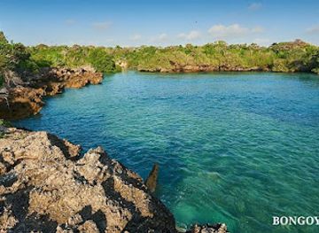 tanzania/central-zone/landmark/bongoyo-island