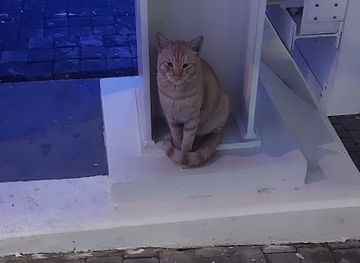 united-arab-emirates/abu-dhabi/landmark/tulay-the-car