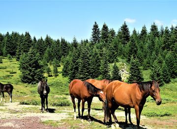 poland/lublin-upland/landmark/wyzyna-lubelska