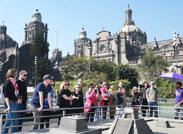 mexico/mexico-city/landmark/the-monkey-experience