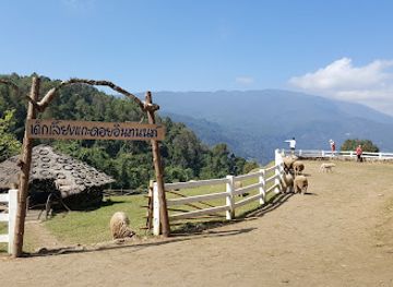 thailand/doi-inthanon-national-park/landmark/pha-thung-doi-inthanon