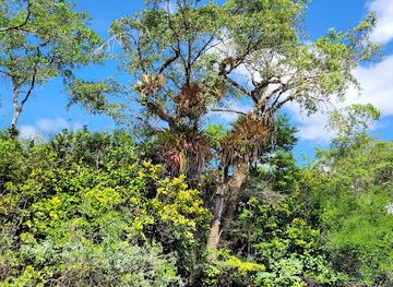 guatemala/verapaces/landmark/crater-azul