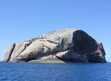 australia/gippsland/landmark/wildlife-coast-cruises-cowes