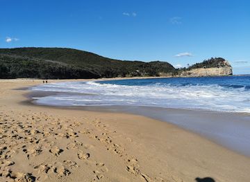 australia/central-coast/landmark/australian-reptile-park